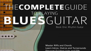 Read more about the article Blues guitar reading list